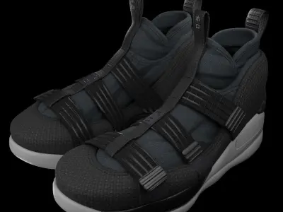 Nike Lebron 3D model