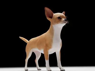 CHIHUAHUA FLEX 3D model