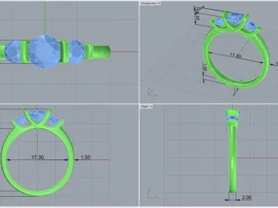  ring code 254 3D print model