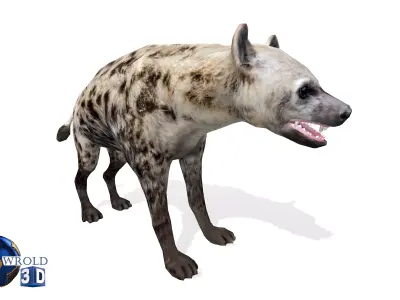 Lowpoly hyena rigged animated 3d model Low-poly 3D model