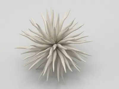Decoration 08 Sea Urchin Free 3D model
