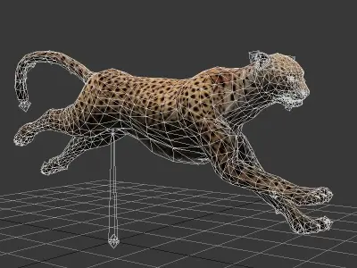 cheetah run 3D model