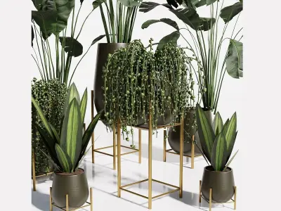 INDOOR PLANT SET01 3D model