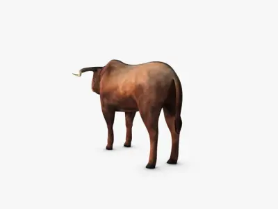 Low Poly Bull Low-poly 3D model
