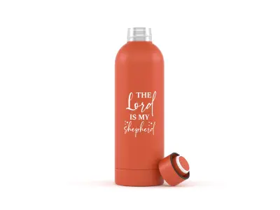 Water Bottle 3D model get