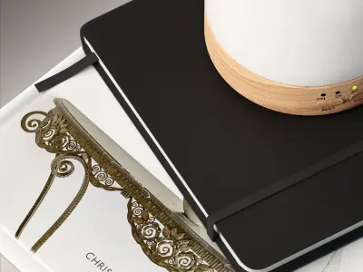 Decor Diffuser with books Set 17 3D model