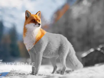 Red Fox Animation VFX Grace 3D model