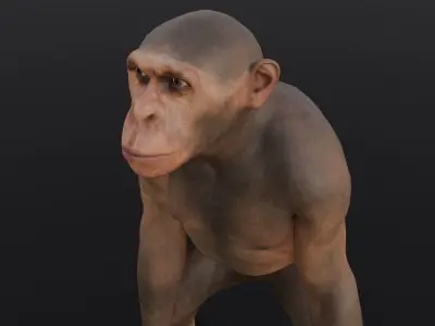 Animated Monkey 3D Model Low-poly 3D model