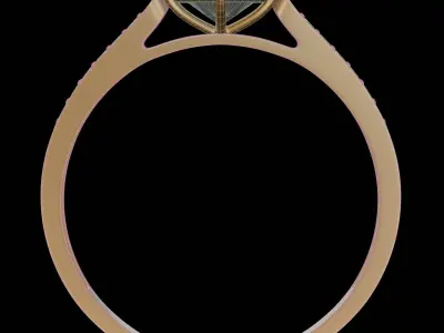 Ring Model for visualization 3D model