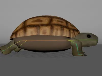 Land Turtle Low-poly 3D model