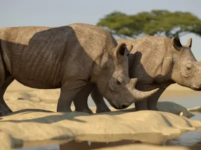 african animals low-poly 3D model