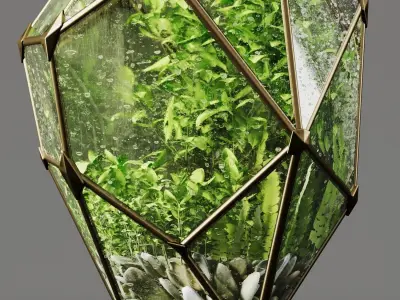 Decorative Fluval Anubias Plant 3D model