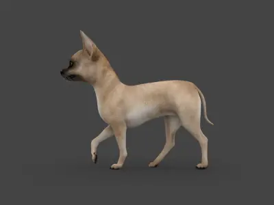 FDCW-003 Walking Animation 3D model