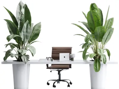 Workplace - Home office set - Office Furniture 50 3D model