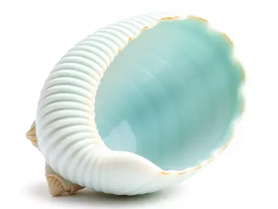 Serene Seashell Aquatic model pack Low-poly 3D model