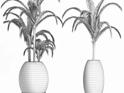 Plants Collection 185 Palm 3D model