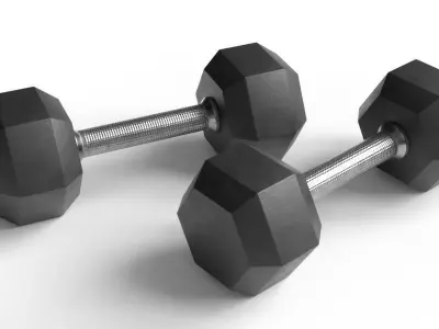 Dumbbells 3D model purchase