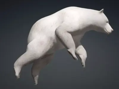 White Bear 3D model