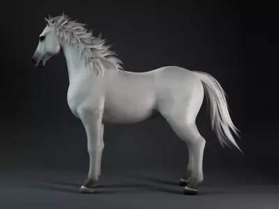 Horse-G5 3D model