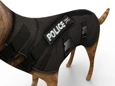 3D Police Dog low poly Model  Low-poly 3D model