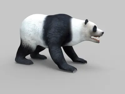 White Rigged 3D Models low poly model Low-poly 3D model