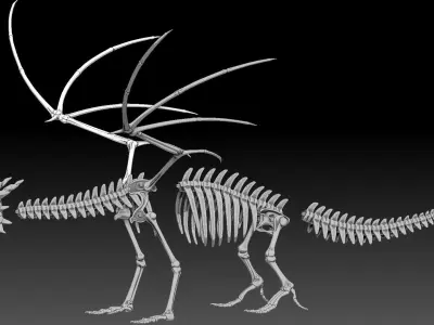 Dragon skeleton Low-poly 3D model