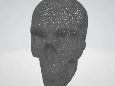 FILIGREE HUMAN SKULL 3D print model