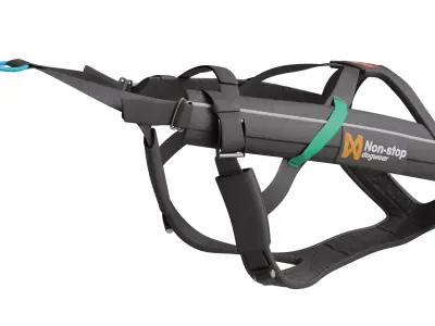 Dog Harness 3D model