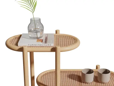 Sage Plant Display Rack 3D model