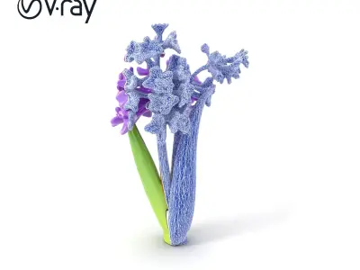 Purple Hyacinth Realistic Flower model pack Low-poly 3D model