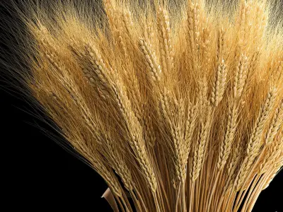 Decorative bouquet of ears of wheat in a wicker basket 285 3D model
