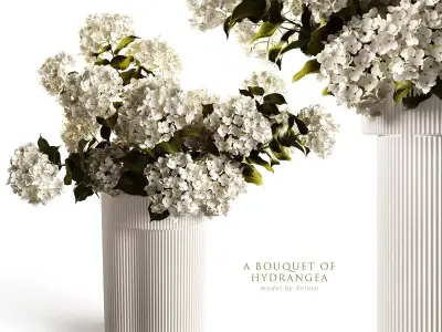 Hydrangea in ripple vase 3D model