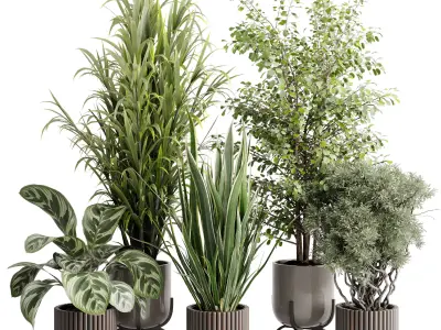 Tree bush palm plant in a Wooden pot - Indoor Plant 662  3D model