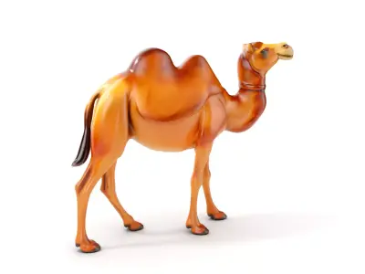 D Camel Model Pack with Detailed Fur Texture Low-poly 3D model