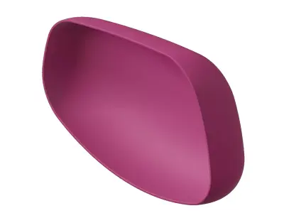 Plastic Premium Car Mirror Cover Toy 3D model