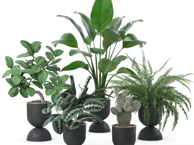 20 Photorealistic Flowers for Interiors - set 120 123 124 143 3D Model Collection