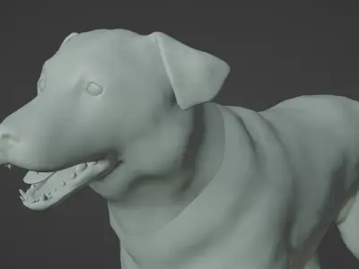 DOG - BORDER COLLIE  Low-poly 3D model