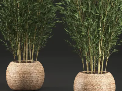 Bamboo Tree for the interior in basket 638 3D model