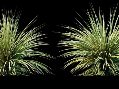 Yucca plant for the exterior 10 models 3D model