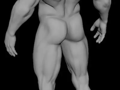 muscular sculpt base mesh humanly accurate 3D model