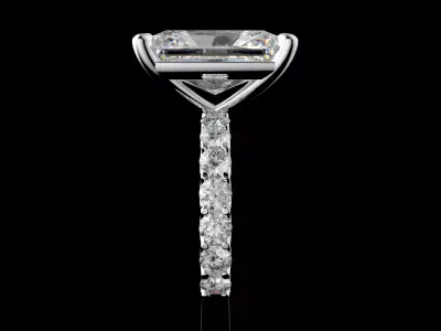 Gold N1556 3D print model