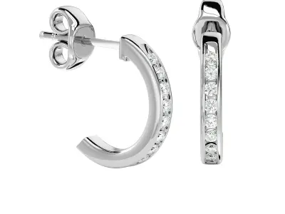Women earrings model 3D print model