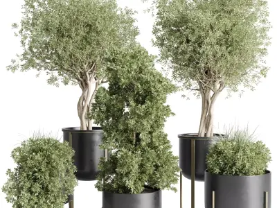 collection indoor plant stand metal vases pot tree bush 3D model