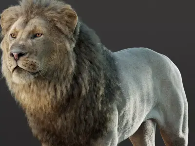 Lion 2025  RIG Maya -  Xgen-Core 3D model