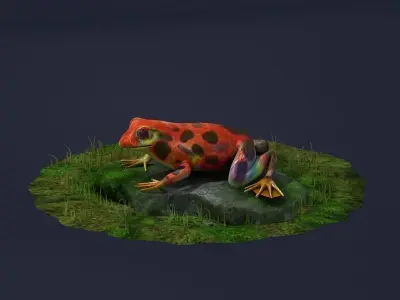 Jungle frogs poison dart frogs rainforest frogs Amphibians 3D model