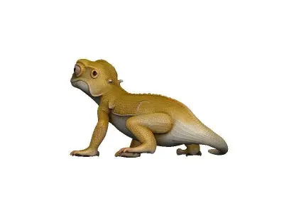 Gecko Low-poly 3D model