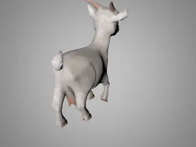 Goat or Goatling Low-poly 3D model