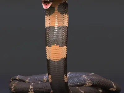 King Cobra Rig Realistic Low-poly 3D model