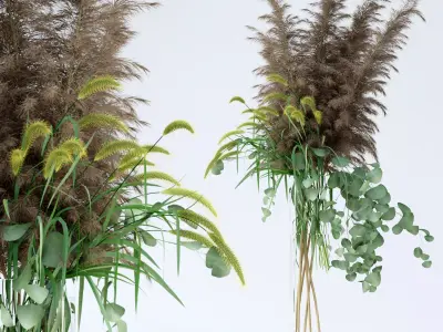 Pennisetum and Pampas grass with Eucalyptus 3D model