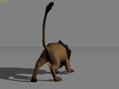 Lion Male Animal Low-poly 3D model